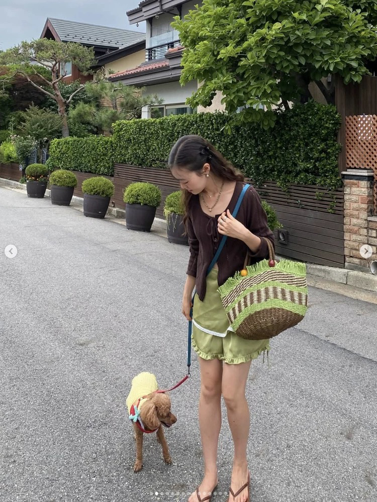 ANNA AMMONS Retro Picnic Fruit Basket Bag - Woven Summer Beach Handbag - ANNA AMMONS